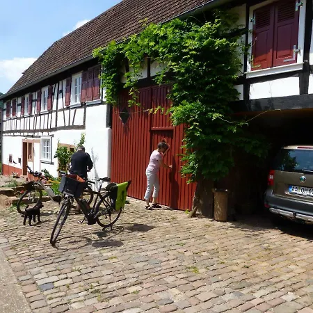 Feriengaleriewohnung Im Denkmal Stilvoll-Komfortabel Baubiologisch Erlenbach  Exterior foto