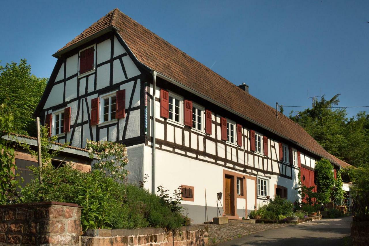 Feriengaleriewohnung Im Denkmal Stilvoll-komfortabel Baubiologisch *