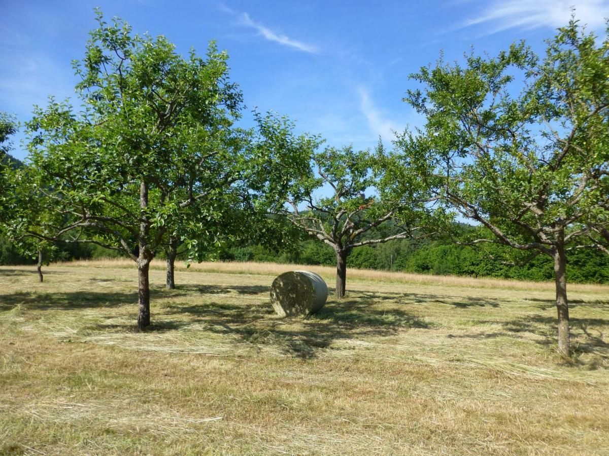 Feriengaleriewohnung Im Denkmal Stilvoll-komfortabel Baubiologisch